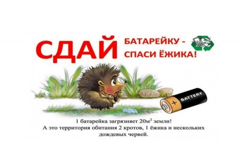 Сдай батарейку &ndash; спаси ёжика!