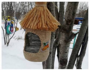 Помоги пернатым друзьям!